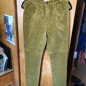 NWOT Yellow/Gold Velvet Loft Curvy Skinny High Rise Pants - Size 4/27